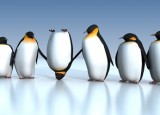 Fun penguins