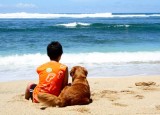 A boy and a golden retriever sitting on the beach